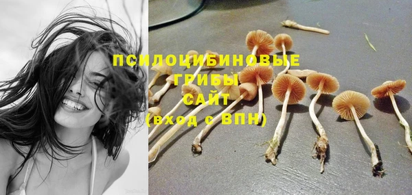 бошки Абдулино