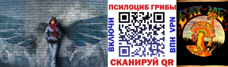 Галлюциногенные грибы прущие грибы Щучье