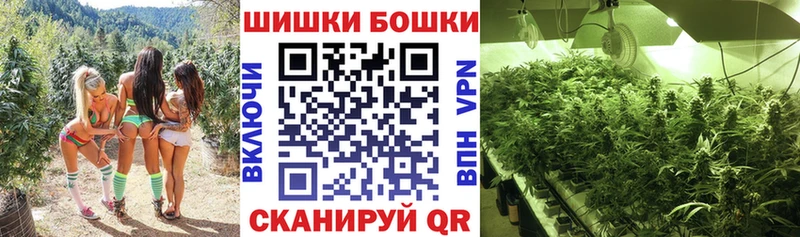 Канабис Amnesia  Щучье 